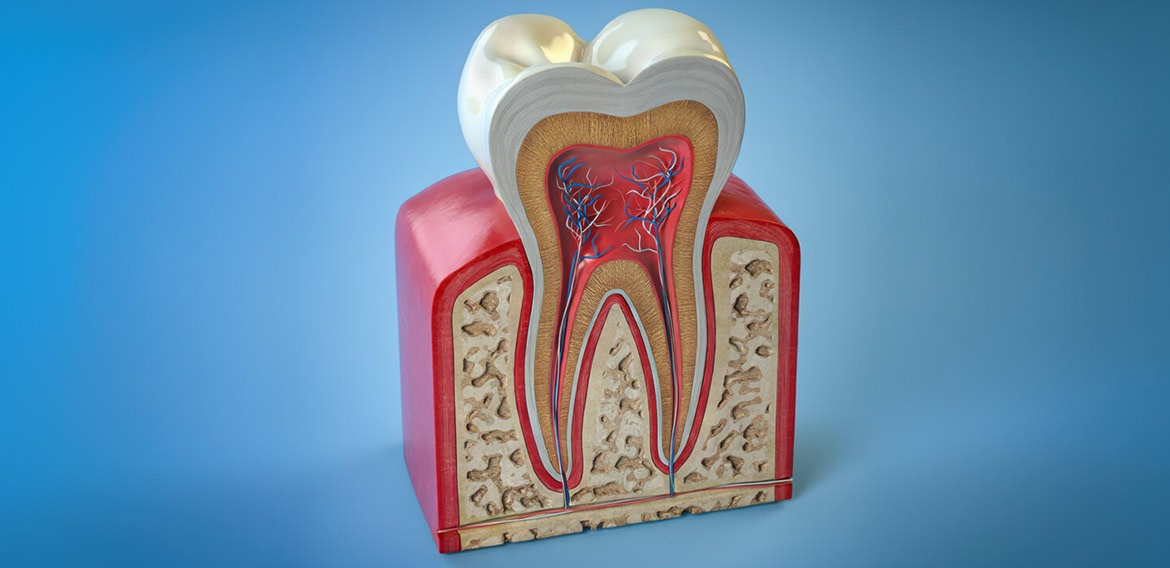 Endodonzia